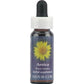 Flower Essence Services Arnica Dropper 0.25 Ounce - FS0103
