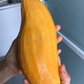 Mango 'Mahachanok' (Mangifera indica)