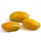 Mango 'Miracle' aka 'Choc-anon' (Mangifera indica)