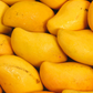Mango 'Miracle' aka 'Choc-anon' (Mangifera indica)