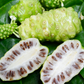 Noni (Morinda citrifolia)