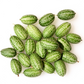 Mouse Melon (Melothria scabra)