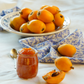 Loquat 'Italy' (Eriobotrya japonica)