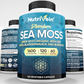 Nutrivein Organic Sea Moss 1600mg Plus Bladderwrack & Burdock - 120 Capsules