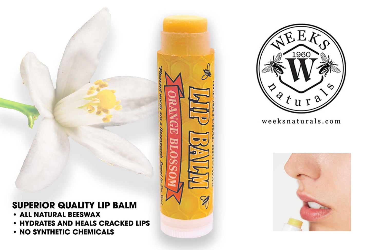Natural Beeswax Lip Balms – Hydrating, All-Natural Moisturizer for Dry Lips
