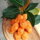 Jackfruit ‘Orange Crush’ (Artocarpus heterophyllus)
