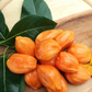 Jackfruit ‘Orange Crush’ (Artocarpus heterophyllus)