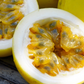Passion Fruit Vine ‘Sweet Yellow Sunrise’ (Passiflora edulis var. flavicarpa)