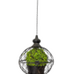 Green Moss Orb Decorative Accent