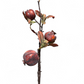 Faux Pomegranate Stem with Leaves