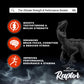 Dr Morpen Raptor