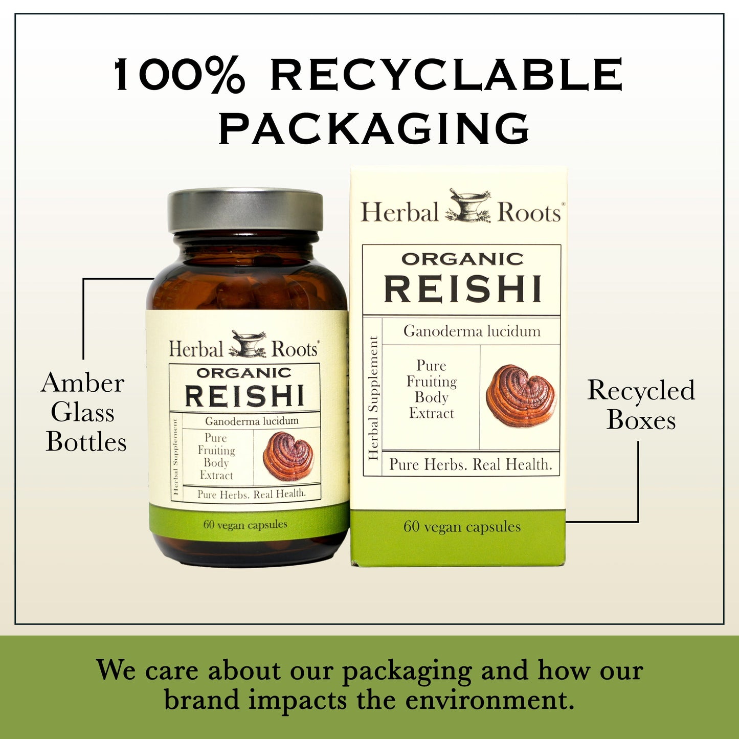 Organic Reishi Mushroom
