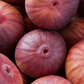 Fig 'Royal Vineyard' (Ficus carica)