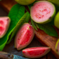 Scarlet Guava (Psidium guajava)