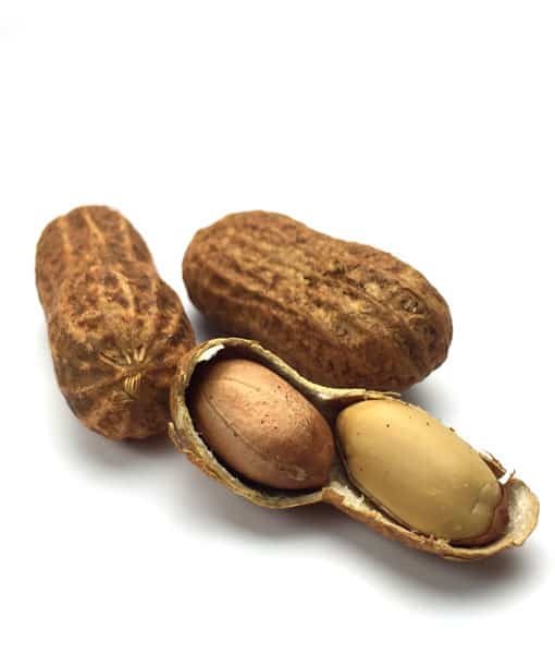 Southern Fried Salted Peanuts