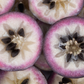 Purple Caimito, Star Apple (Chrysophyllum cainito)