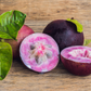 Purple Caimito, Star Apple (Chrysophyllum cainito)
