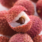 Lychee 'Brewster' (Litchi chinensis)