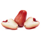 Malay Apple (Syzygium malaccense)