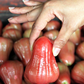 Malay Apple (Syzygium malaccense)