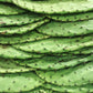 Nopales Cactus (Opuntia matudae)