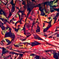 Thai Chili (Capsicum annuum)