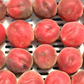Peach 'UF One' (Prunus persica)