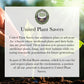 Organic Black Cohosh