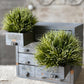 Ashoka Grass Half Sphere