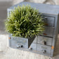 Ashoka Grass Half Sphere