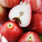 Wax Jambu, Red (Syzygium samarangense)