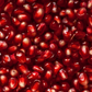 Pomegranate 'Wonderful' (Punica granatum)