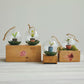 Glass Ball Ornament with Garden Starts Sprout & Moss