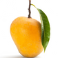 Mango 'Alphonso' (Mangifera indica)