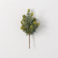Textured Green Succulent Pick
