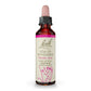 Bach - Bach Original Flower Remedy Dropper Star of Bethlehem Flower Essence - 20 ml.
