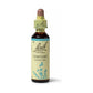 Bach Chicory 20 mL