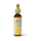 Bach Gorse 20 ml - 2 bottles