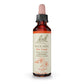 Bach Rock Rose 20mL