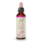 Bach Willow 20ml