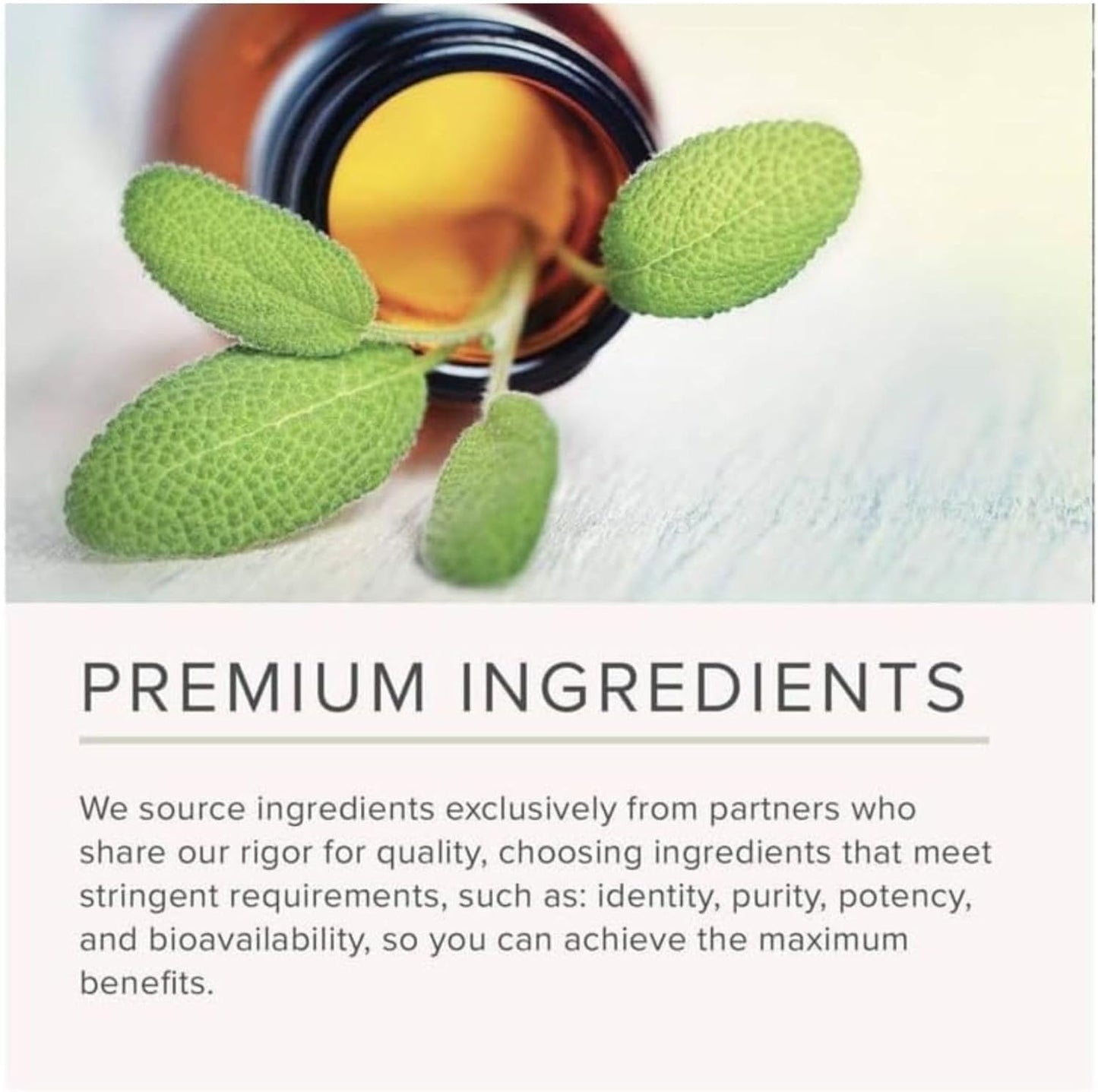 NusaPure Artichoke 20:1 Extract, 600 mg 200 Veggie caps (Non-GMO, Gluten Free)