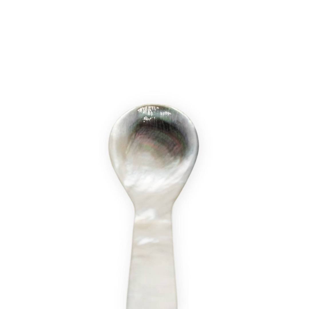 Black Mother of Pearl (Large)
