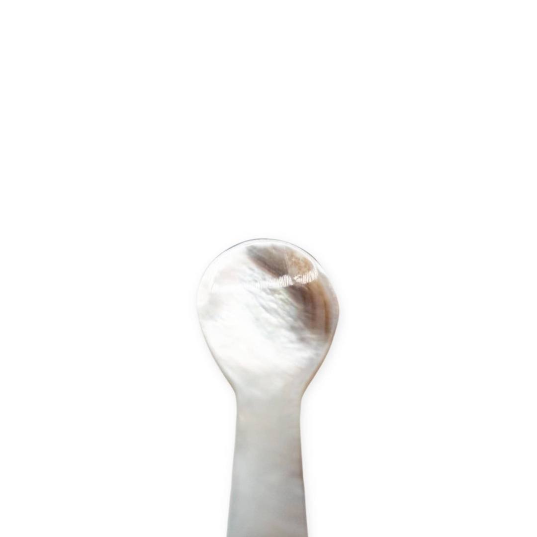 Black Mother of Pearl (Small)