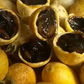 Blackberry Jam Fruit (Rosenbergiodendron formosum)