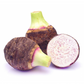 Taro 'Chinese Bun Long' (Colocasia esculenta)