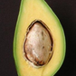 Avocado 'Catalina' (Persia americana)