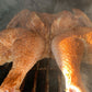 Claymore Cajun Seasoning