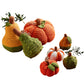 Crocheted Knit Gourd & Pumpkin Sitters
