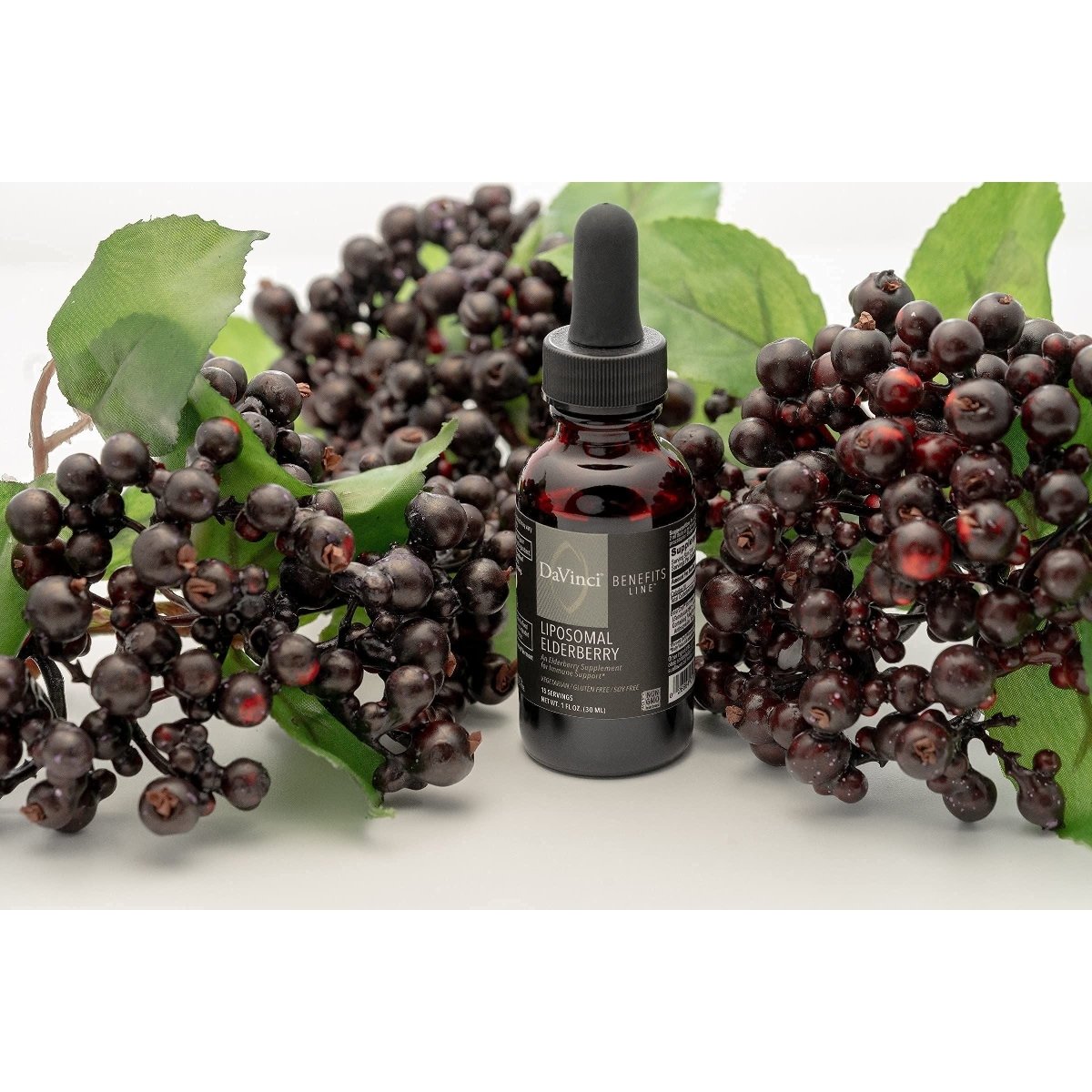 DAVINCI Labs Liposomal Elderberry - Immune Support Supplement for Healthy Lungs, Throat and Sinus - Gluten-Free - Vegetarian - 30 ml, 15 Servings