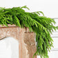 60'' Real Touch Norfolk Pine Christmas Garland